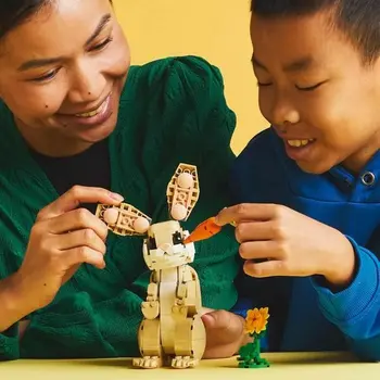 Construction set Lego