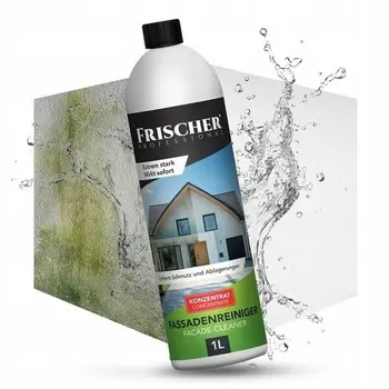 Window Vacuum Cleaner Frischer