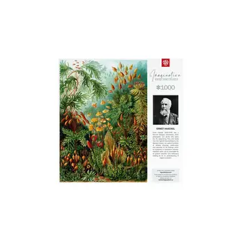 Puzzle Cenega Publishing Imagination: Ernst Haeckel Muscinae 1000 Pieces