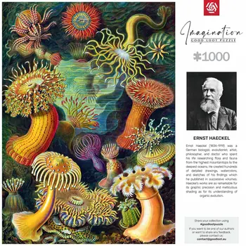 Puzzle Cenega Publishing Ernst Haeckel Criaturas marinas 1000 Pieces
