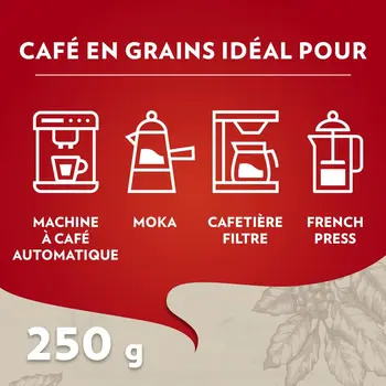 Coffee beans Lavazza 2013