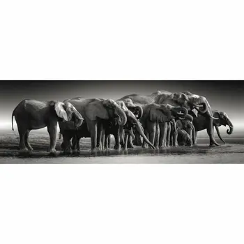 Puzzle Clementoni
