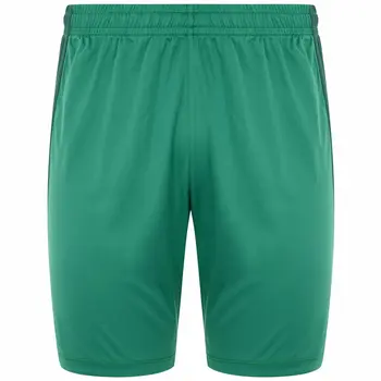 Men's Sports Shorts Kappa DELEBIO Green