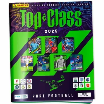 Pack of stickers Panini