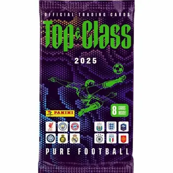 Pack of stickers Panini