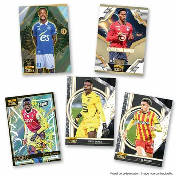 Pack of stickers Panini Iconz 2024-2025