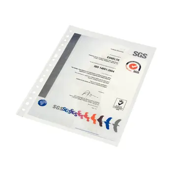 Covers Esselte A4 polypropylene
