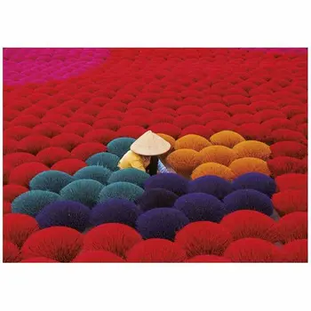 Puzzle Educa 20282 Incense Village, Vietnam