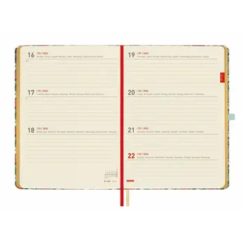 Diary Finocam