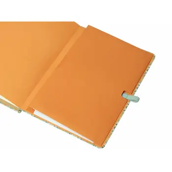 Diary Finocam