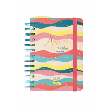 Diary Finocam