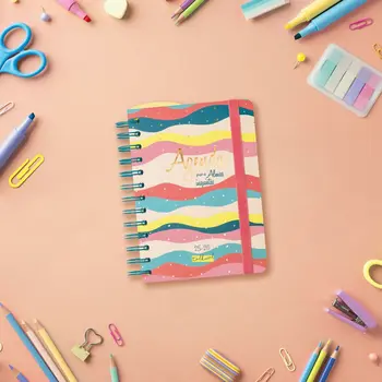 Diary Finocam