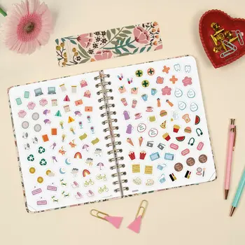 Diary Finocam