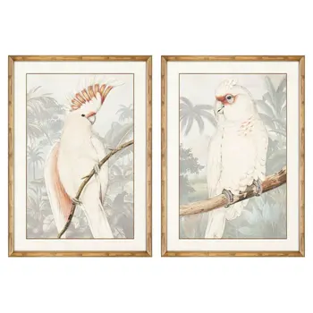 Painting DKD Home Decor Parrot Tropical 50 x 3 x 70 cm (2 Units)