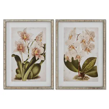 Painting Home ESPRIT Tropical Orchid 50 x 2,5 x 70 cm (2 Units)
