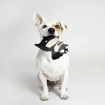 Dog toy Batman