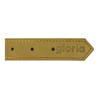 Dog collar Gloria Oasis Green (60 x 3 cm)