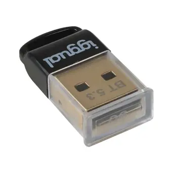 Bluetooth Adaptor iggual IGG319383