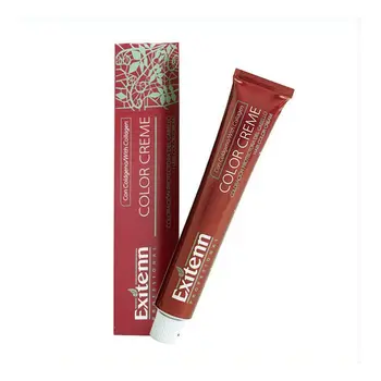 Permanent Dye Color Creme Exitenn Nº 672 Dark Choco Blonde (60 ml)