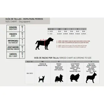 Dog collar Disney