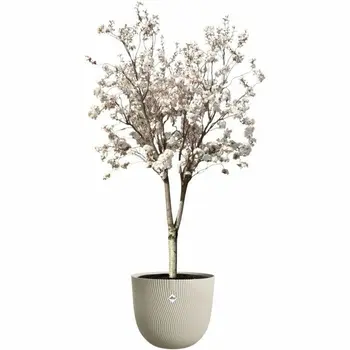 Plant pot Elho