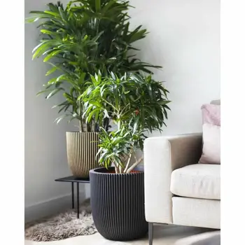 Planter Capi Europe GROVVE Black Golden Plastic Ø 43 cm