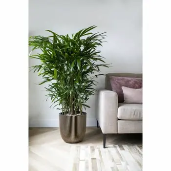 Planter Capi Europe GROVVE Black Golden Plastic Ø 43 cm