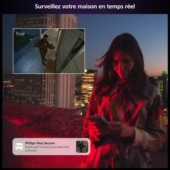 Simulated security camera Philips