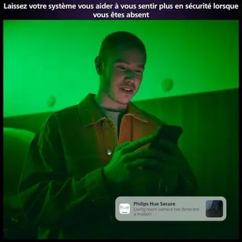 Simulated security camera Philips