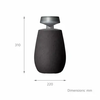 Portable Bluetooth Speakers LG XG2TBK Black 5 W