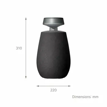 Portable Bluetooth Speakers LG XG2TBK Black 5 W