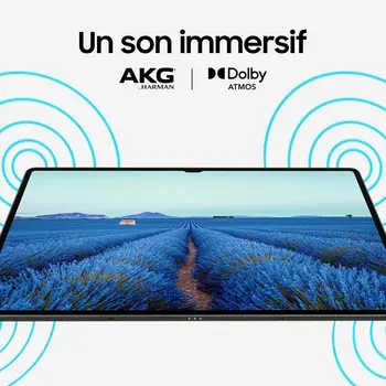 Tablet Samsung SM-X716BZAAEUB 11" Octa Core 8 GB RAM 128 GB Black Steel