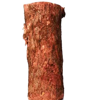 Men Carved Inside a Raw Neem Tree Trunk