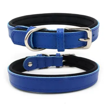 Royal Blue Dog Collar - by Doggy Doo Little