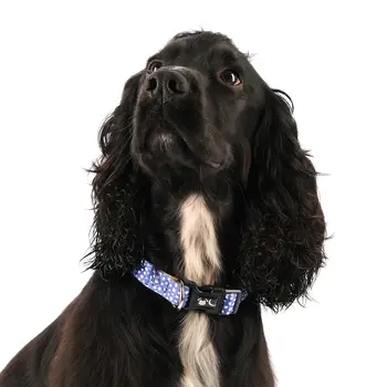 The Minnie Dog Collar - by Neon Moon Pet Boutique