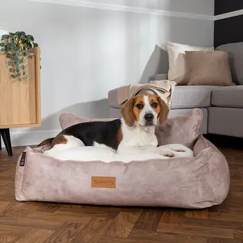 Kensington Box Dog Bed (in Cream, Chocolate, Navy or Grey) by Scruffs