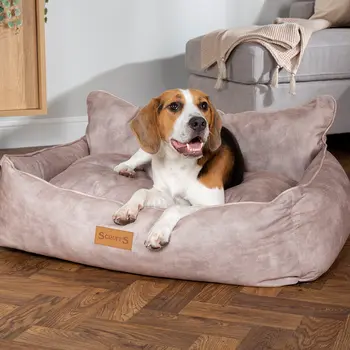 Kensington Box Dog Bed (in Cream, Chocolate, Navy or Grey) by Scruffs