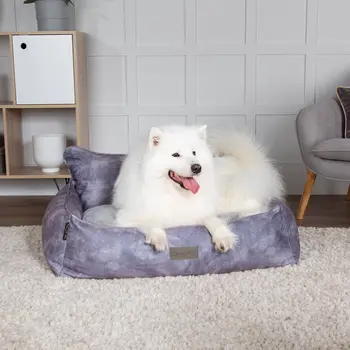 Kensington Box Dog Bed (in Cream, Chocolate, Navy or Grey) by Scruffs