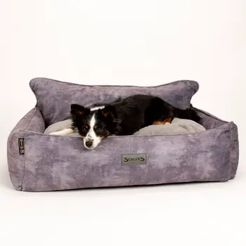 Kensington Box Dog Bed (in Cream, Chocolate, Navy or Grey) by Scruffs