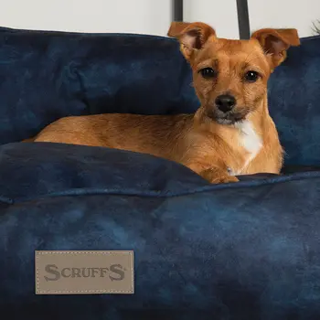Kensington Box Dog Bed (in Cream, Chocolate, Navy or Grey) by Scruffs