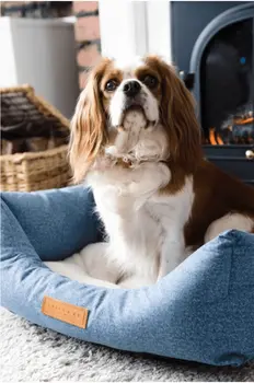 “Rayleigh” Chenille Nest Dog Bed – by Ralph & Co