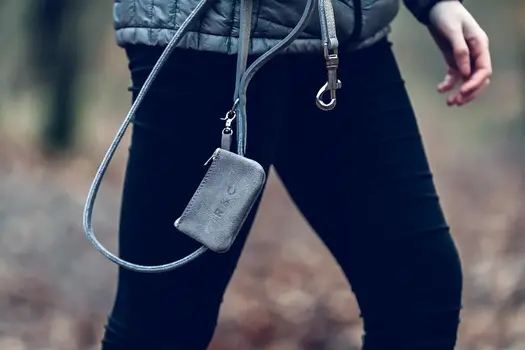 “Dalton” Dog Poo Bag Holder – by Ralph & Co