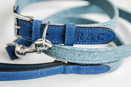 “Rayleigh” Fabric & Leather Dog Collar – by Ralph & Co