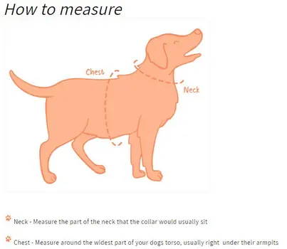 Oxford "Sand" Adjustable Dog Collar – by Flossie & Floof