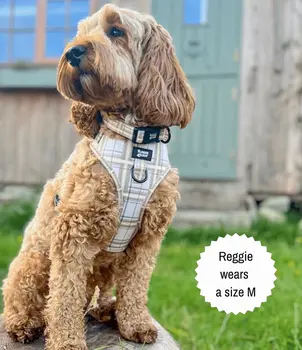 Oxford "Sand" Adjustable Dog Collar – by Flossie & Floof