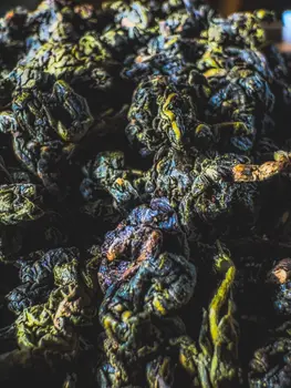 Herbata Milky Oolong Czekoladowy – 純奶烏龍茶