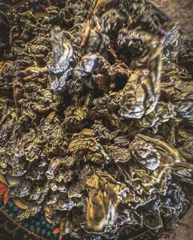 Herbata Milky Oolong Czekoladowy – 純奶烏龍茶