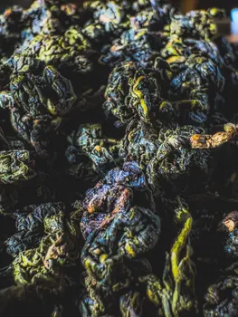Herbata Milky Oolong Czekoladowy – 純奶烏龍茶