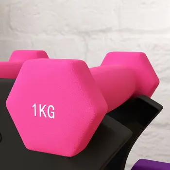2 x 1kg, 2 x 2kg, 2 x 3kg Dumbbells Set with Dumbbell Rack, Hand Weights for Home Gym Training | SPORTNOW