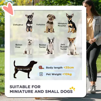 PawHut 3 Wheel Pet Stroller for Small and Miniature Dogs in Charcoal Grey